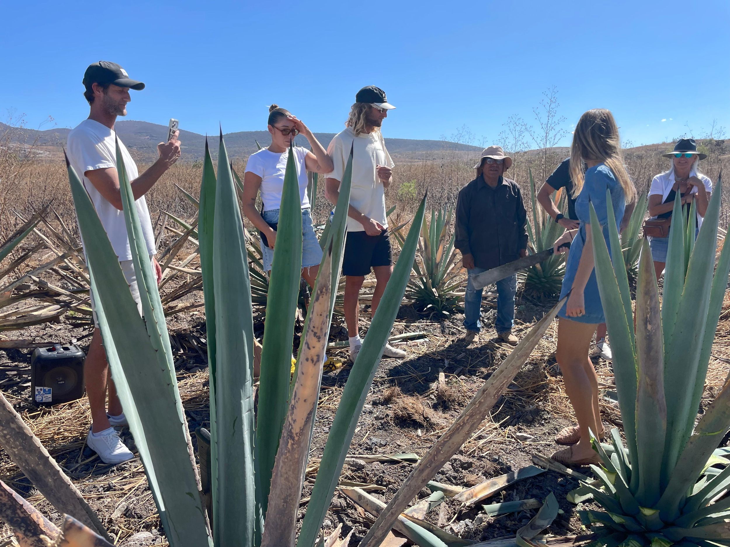 Oaxaca – Stelle deinen eigenen Tag-der-Toten-Mezcal her