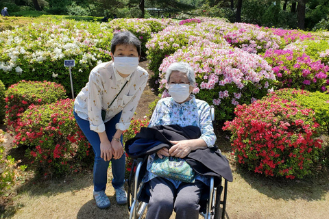 Full Day Private Tokyo Tour for Wheelchair Users