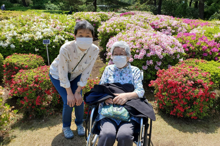 Full Day Private Tokyo Tour for Wheelchair Users