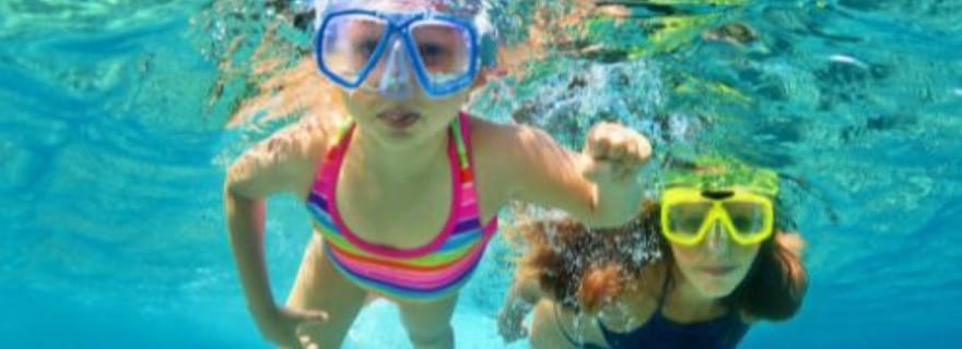 Île du South Padre : Excursion de Snorkeling à North Bay