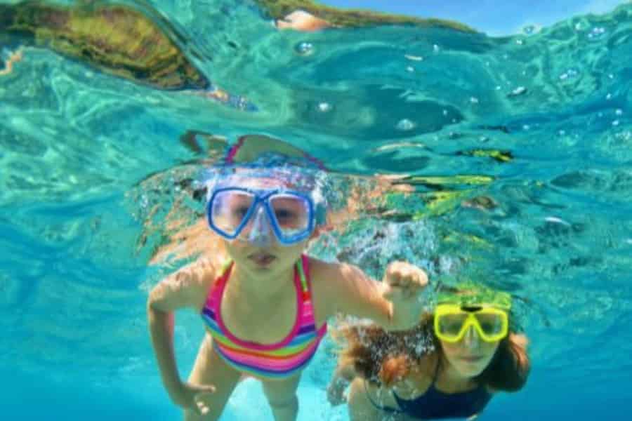 South Padre Island: Schnorcheltour in der North Bay. Foto: GetYourGuide