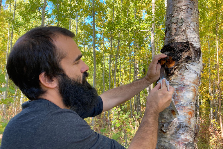 Fairbanks: Guided Nature Walk with Tea Tasting Guided Nature Walk with Tea Tasting