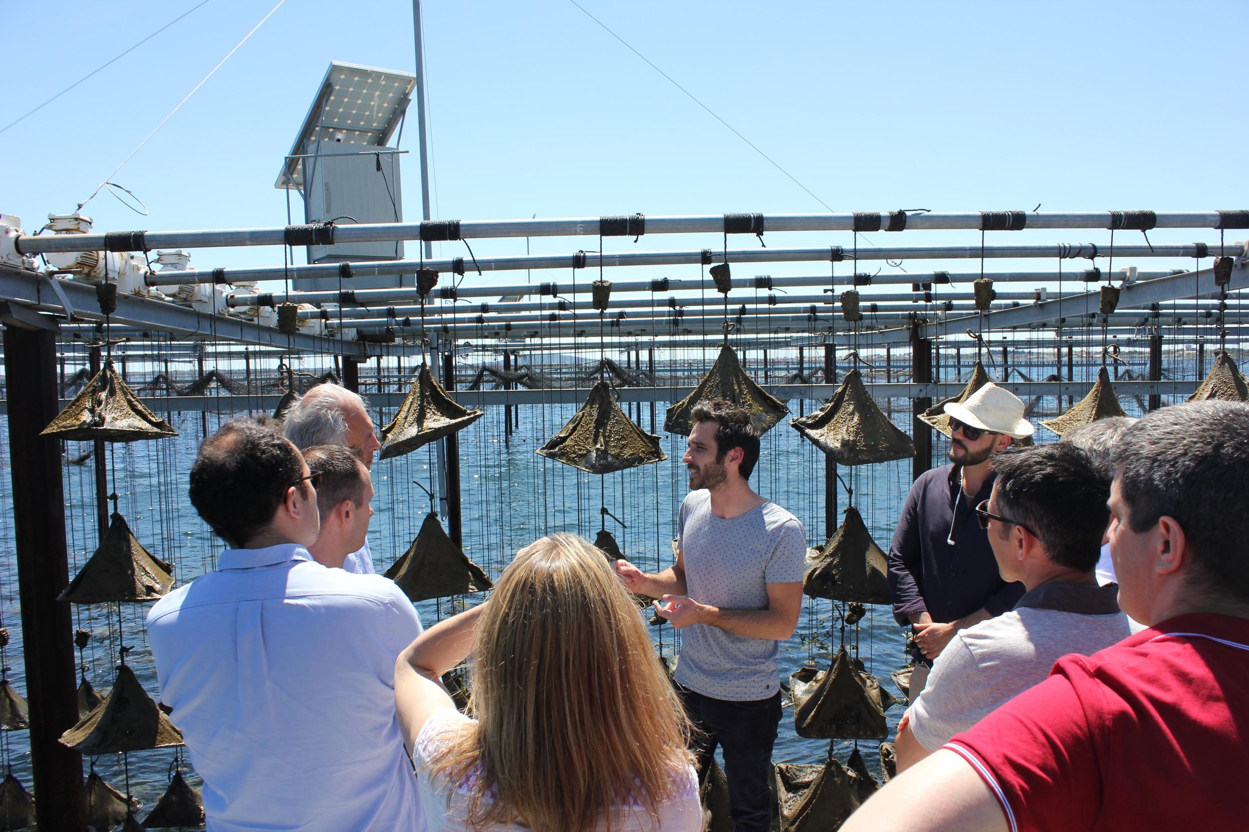 Marseillan: Bootstour zur Austernfarm Tarbouriech mit Verkostung