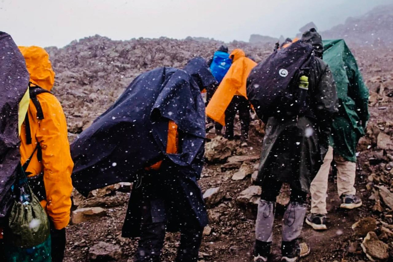 6 Days Climbing Mt. Kilimanjaro Via Machame Route