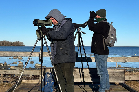 Tallinn: Birdwatching and Abseiling Tour with Picnic