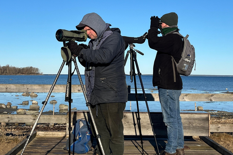 Tallinn: Birdwatching and Abseiling Tour with Picnic