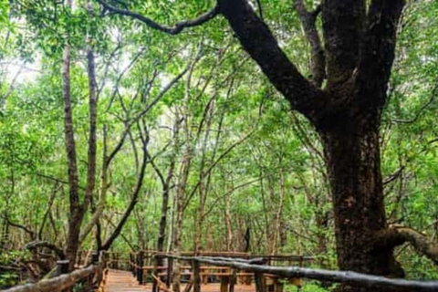 ZANZIBAR: Isola delle Prigioni, Foresta di Jozani e Butterfly CenterIL TOUR PRIVATO INCLUDE IL SERVIZIO DI PRELIEVO E RIENTRO IN HOTEL