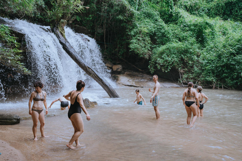 Chiang mai: Elephants Sanctuary, Waterfalls, Trekking 2 days, Sleep 1 night