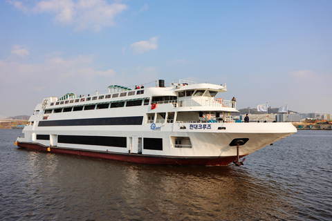 Seoul Hangang River: Music Fireworks Cruise