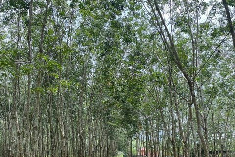 Langkawi: ATV-åkning vid Matchinchang Foothill