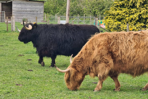 Invergordon: Loch Ness, Culloden, & Urquhart Castle Tour
