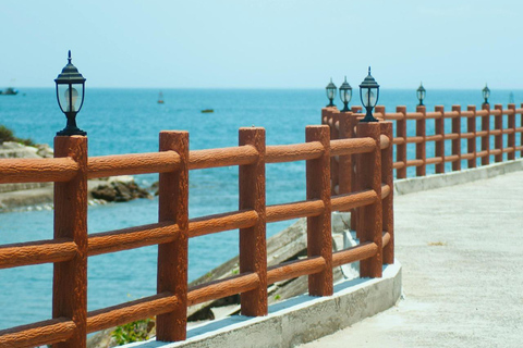 Escursione di un giorno per lo snorkeling dell&#039;isola di Cham con servizio di prelievo in hotelPick up da Da Nang