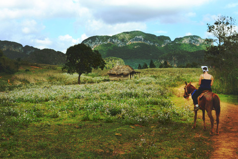Arusha: Horseback Riding Experience