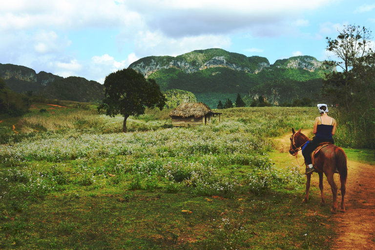 Arusha: Horseback Riding Experience