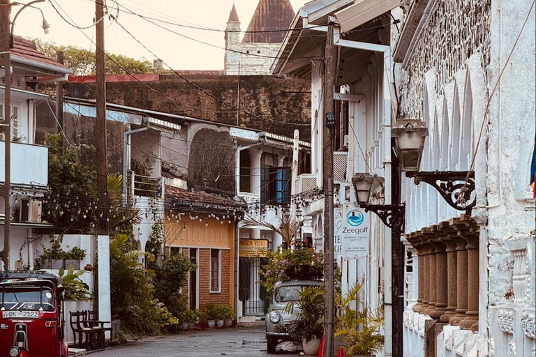 Bentota: Galle Dutch Fort &amp; Southwest Coast Private Day Tour