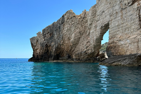 Boottochtjes met glazen boot om schildpadden te spotten