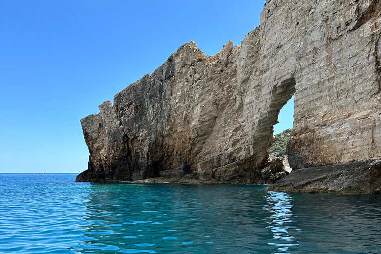 Boottochtjes met glazen boot om schildpadden te spotten