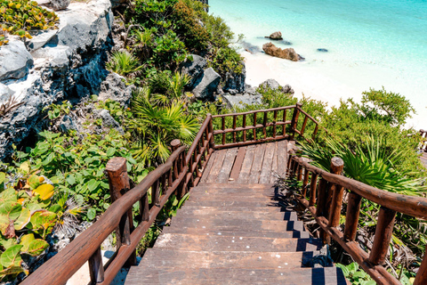 Tour di Tulum, cenote Casa Tortuga e Madre naturaleza 5 posti