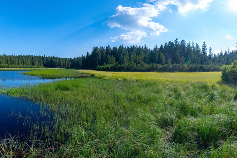 Authentic Slovenia: A Mystery Travel Day Tour