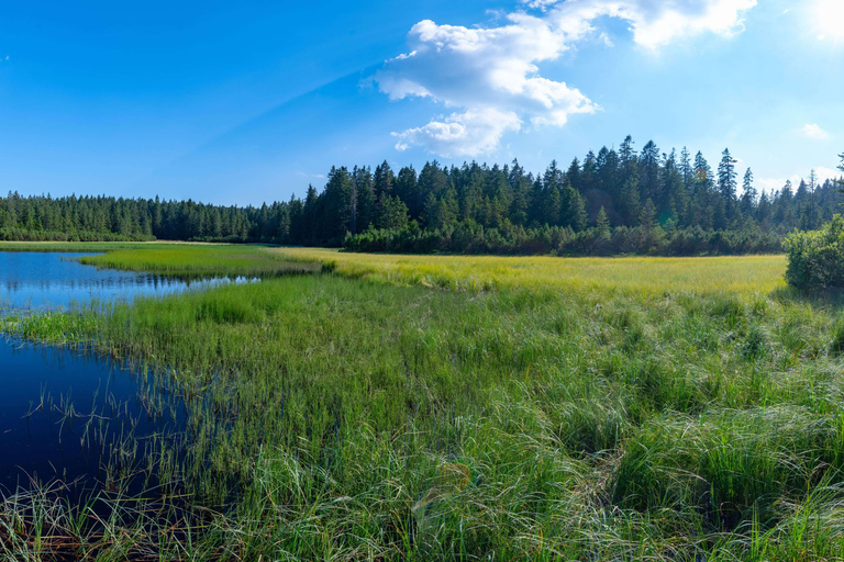 Authentic Slovenia: A Mystery Travel Day Tour