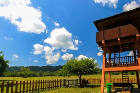 Explore Banyuwangi 3 day 2 night