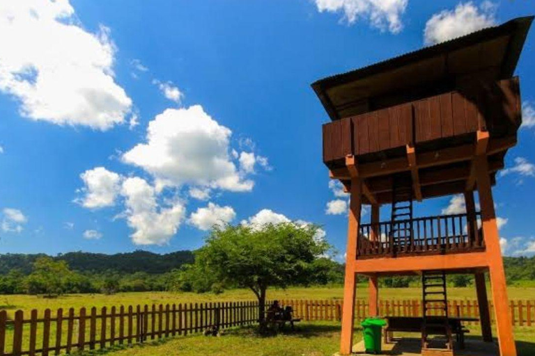 Explore Banyuwangi 3 day 2 night