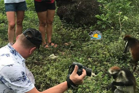 Zanzibar: Blå lagunen, sjöstjärnor och Jozani-skogenTransfer till hotell var som helst på Zanzibar