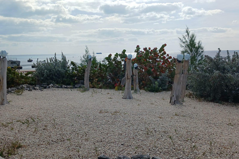 Guided Primeval Nature Walk Tour