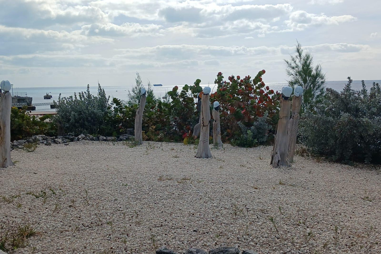 Guided Primeval Nature Walk Tour