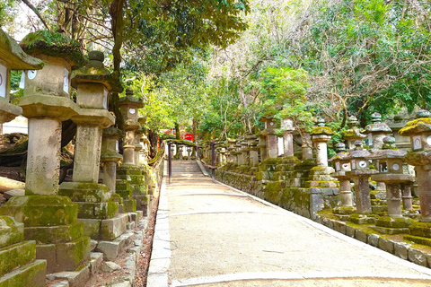 Nara UNESCO-listat världsarv Långsam cykeltur