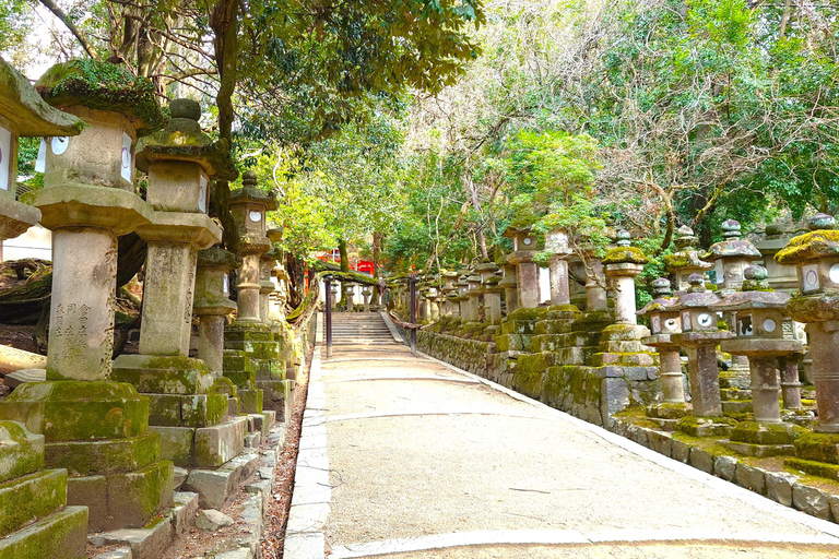 Nara UNESCO-listat världsarv Långsam cykeltur