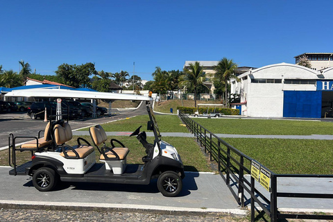 RIO DE JANEIRO Helikoptertur - STRÄNDER