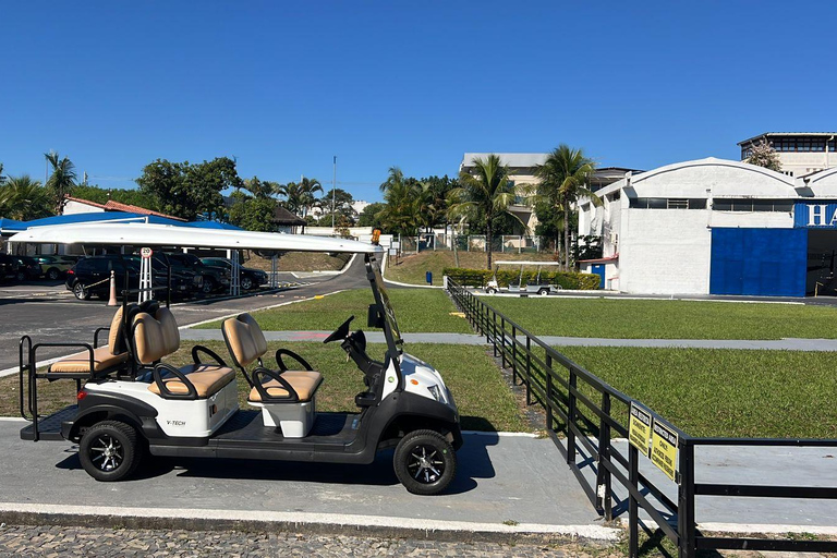 RIO DE JANEIRO Helikoptertur - STRÄNDER