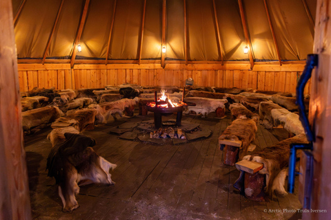 Tromsø: Reindeer Feeding & Sami Culture Express