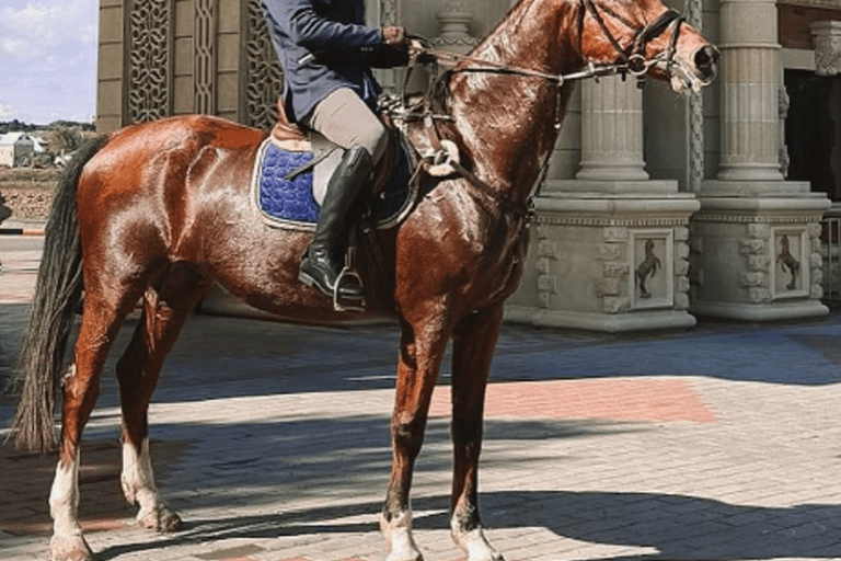 Baku: Horse Riding Club