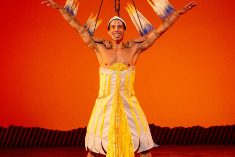 Paris: The Lion King at the Théâtre Mogador