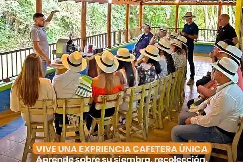 Tour Ruta de los Sentidos SANTA ROSA DE CABAL