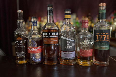 Dresden: Whisky Tasting Experience with Expert Guidance