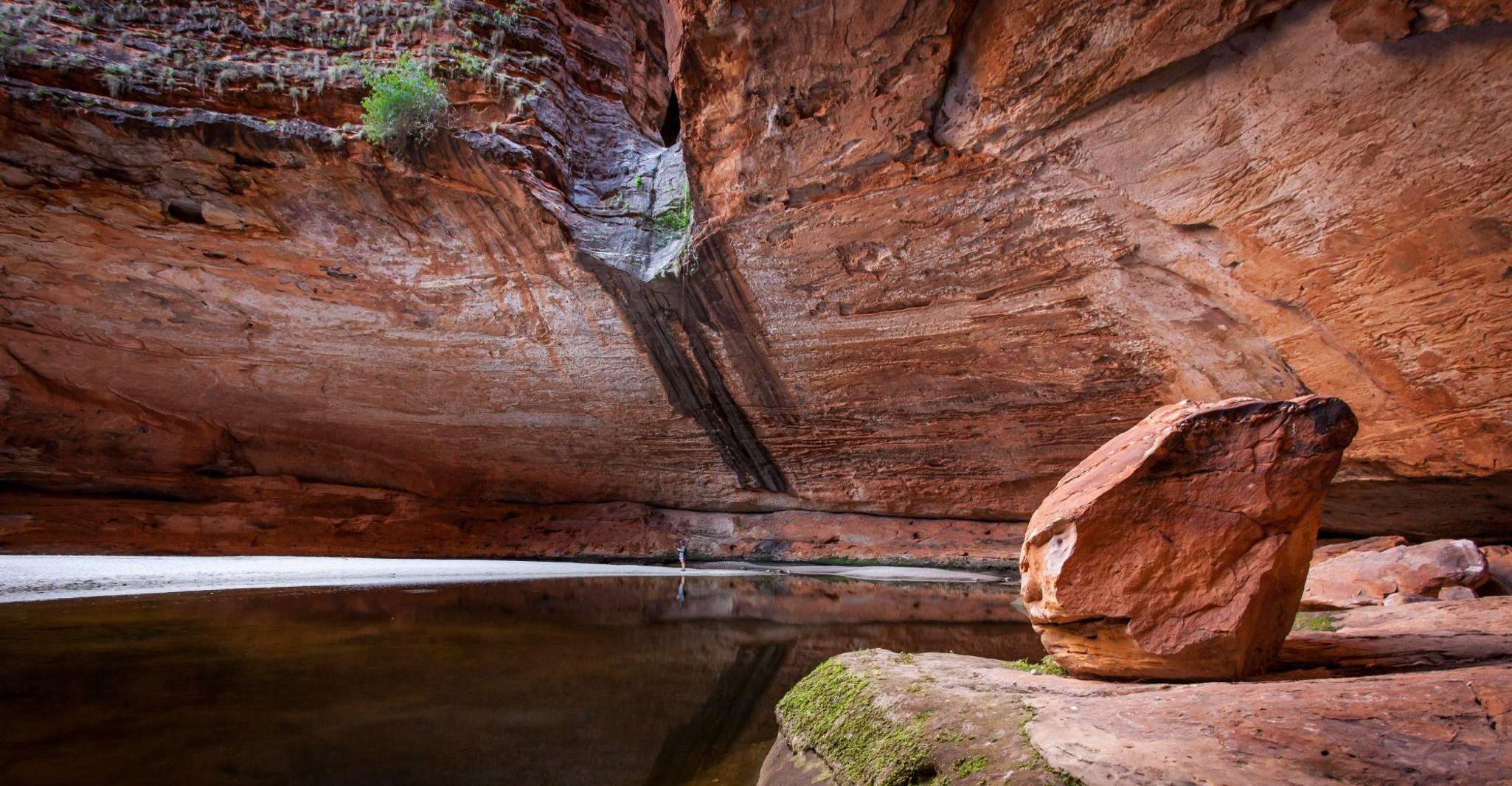 From Broome, Bungle Bungle Explorer Scenic Flight - Housity