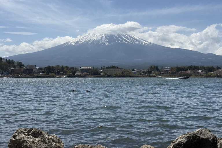 From Tokyo: Private Mt. Fuji SNS Photo Tour by Luxury Car