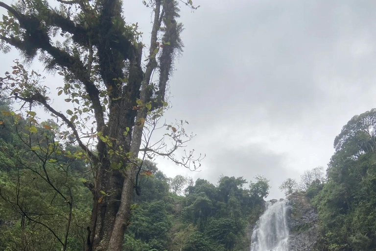 Materuni Waterfalls and Coffee Day Tour