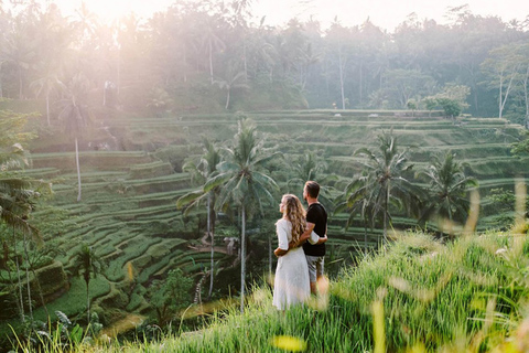 Ubud: Monkey Forest, Rice Terrace, Waterfall Private Tour Private Tour Without Entry Tickets