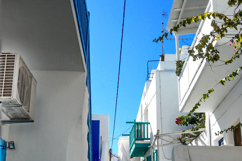 Mykonos: Elia Beach and Mykonos Town Trip