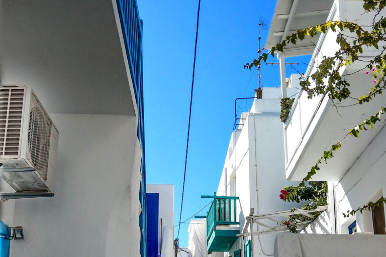Mykonos: Elia Beach and Mykonos Town Trip