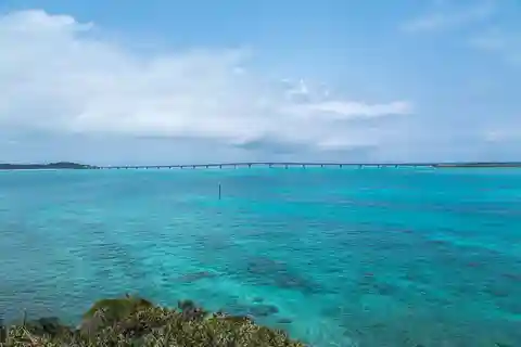 Okinawa Full-Day Tour with Daily Chauffeur