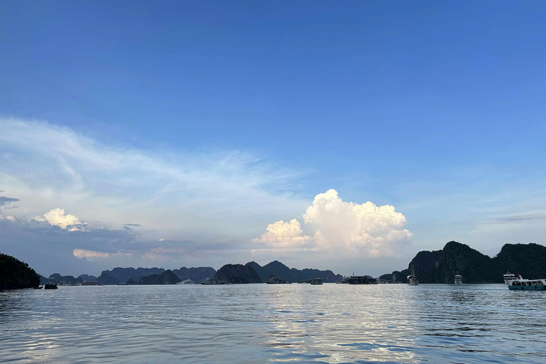 Experience Celina Cruise - the Best & Largest in Lan Ha Bay