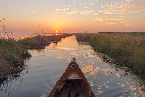 Albufera : tour en bateau avec dégustation de vins de Valence et de tapas