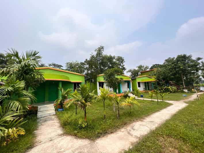 Discover the Wild Beauty of Sundarbans Mangrove & culture