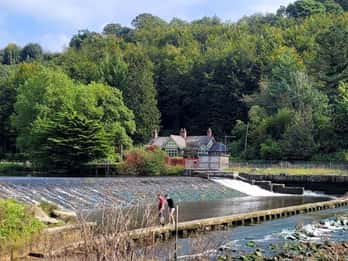 Bere Ferrers: Guided Walk to Tamerton Foliot
