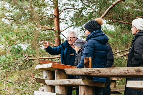 From Aberdeen: Dunnottar Castle and Cairngorms Day Trip